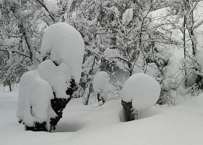 Waidmannsruh 4* جيرلوس